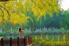 美职超足球比分-美职超足球比分，激情与悬念交织的数字盛宴